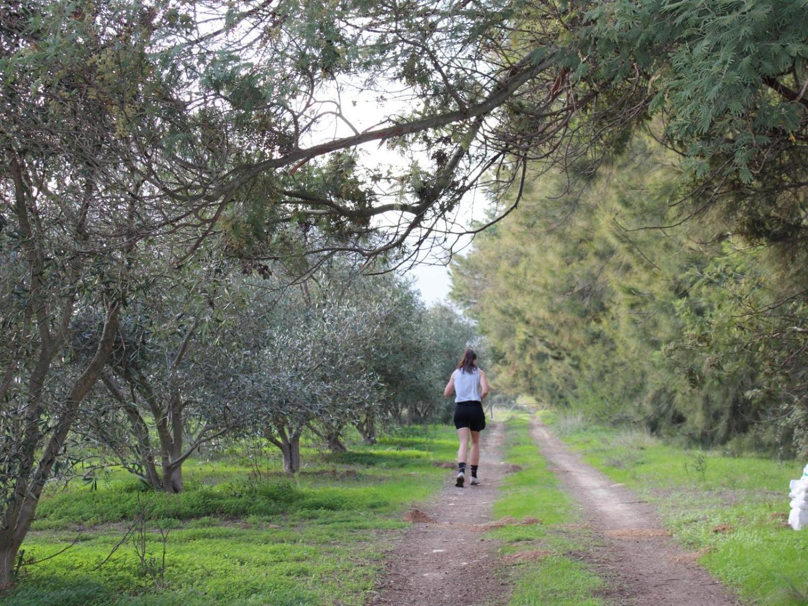 图尔巴 Duikersdrift Winelands Country Escape酒店 外观 照片