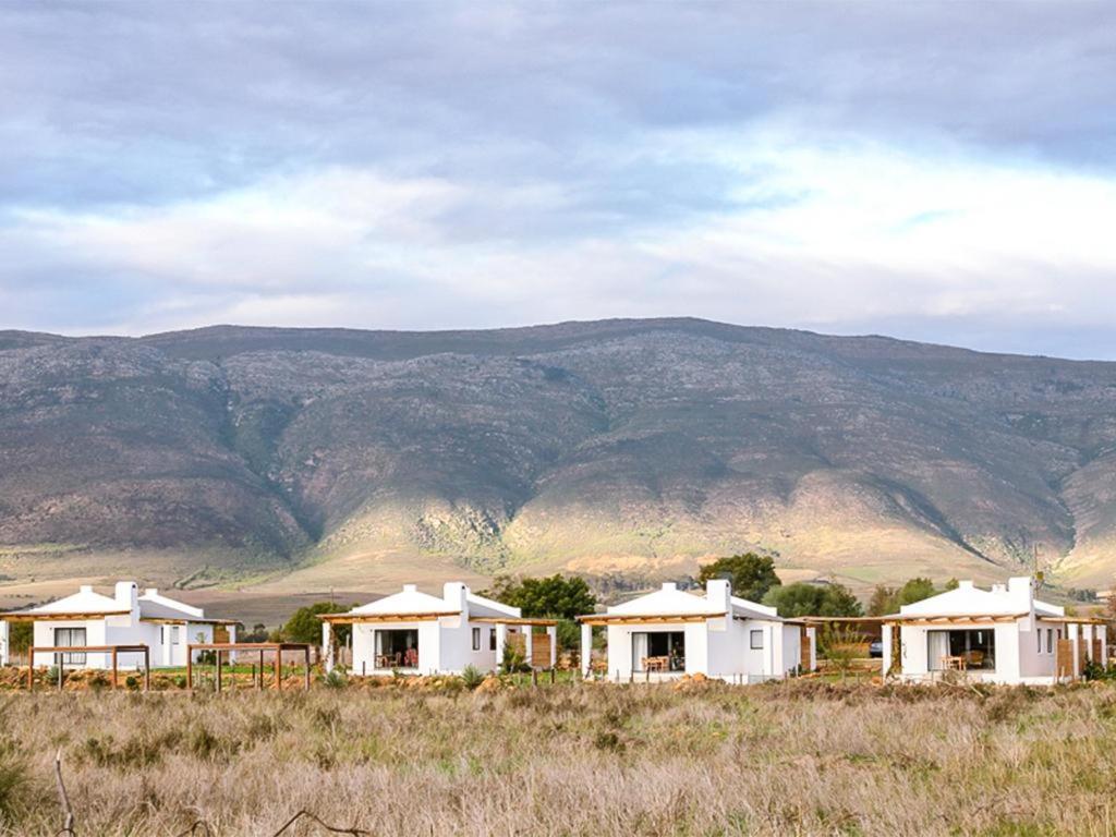 图尔巴 Duikersdrift Winelands Country Escape酒店 外观 照片